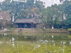 -桂湖森林公园