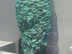 -湖南省地质博物馆