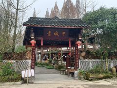 -青城甲(青城山店)