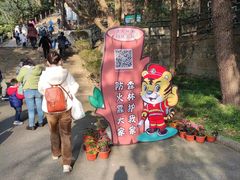 -上海佘山国家森林公园西佘山园