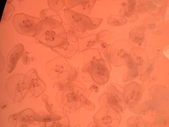 -沈阳海洋探索中心