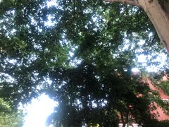 -南京特殊教育师范学院(燕子矶校区)