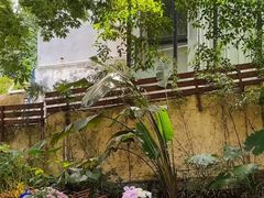 -火炉山森林公园