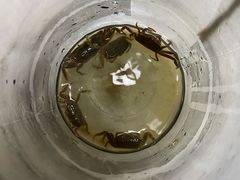 -南汇新城海滩