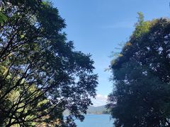 -广州市流溪河国家森林公园