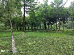 -重庆彩云湖湿地公园