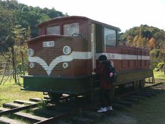 -田野绿世界