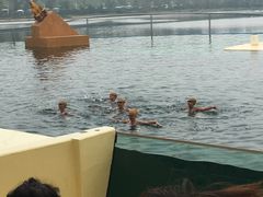 -秦皇岛乐岛海洋王国