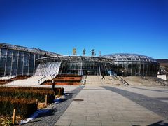 -北京植物园-展览温室
