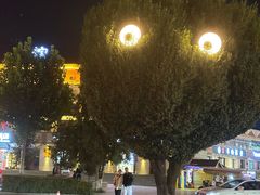 -特克斯八卦城