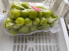 -马陆小张葡萄园农家乐