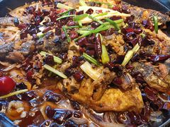 -老板恋上鱼(恒隆广场店)