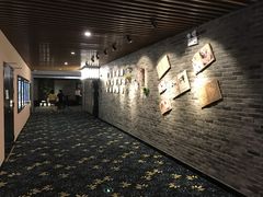 -CMC大光明影城(莲花店)