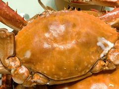 -北塘海鲜·天津菜(大光明桥旗舰店)