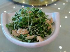 -惠丰堂饭庄(北洼路店)