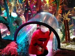 -沈阳海洋探索中心