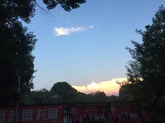 -华中师范大学-图书馆