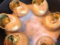 -金蜗牛