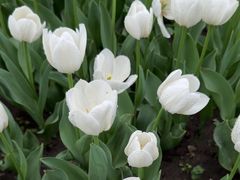 -玄武湖景区-情侣园游乐场