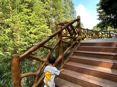 -广州市帽峰山景区
