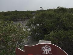 -北海金海湾红树林生态旅游区