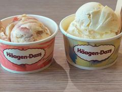 -哈根达斯(石家庄北国店)