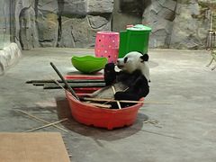 -栾川竹海野生动物园