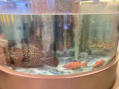 -海底捞大排档火锅(打浦路店)