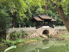 -红梅公园