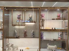-翊宠yipet猫狗购宠庄园
