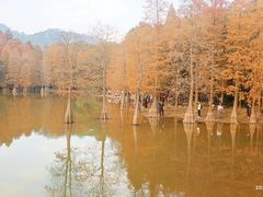 -广州市白云山风景名胜区