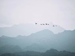 -千岛湖天屿景区