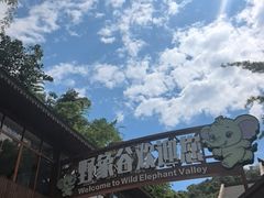 -野象谷景区