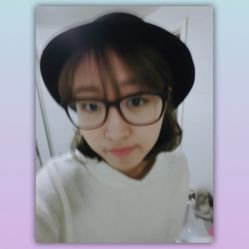 -大象造型