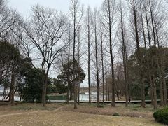 -渤公岛生态公园