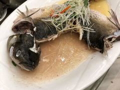 油盐山坑鱼-太子园林酒家