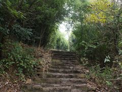 -雨花胜境