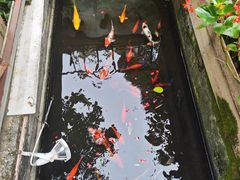-老洋房花园饭店(绍兴路店)