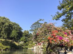 -云溪植物园