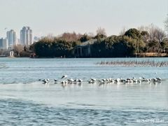 -云龙湖旅游景区