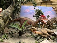 -国家自然博物馆