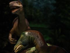-辽宁古生物博物馆