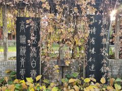 -碑林公园