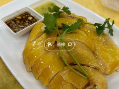 -巫记鸡饭店