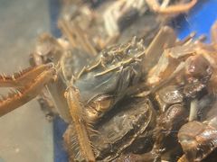 -尚宴牛特鲜自助(太原街万达店)