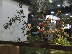 -洞庭家宴·头牌甲鱼(广渠门店)