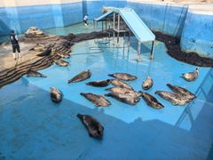 -秦皇岛乐岛海洋王国