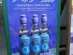 -富田农场
