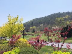 -棒棰岛宾馆景区