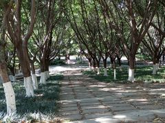 -攀枝花公园